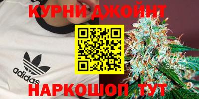 mdpv Заводоуковск