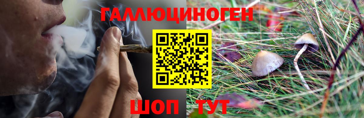 Псилоцибиновые грибы ЛСД Майский