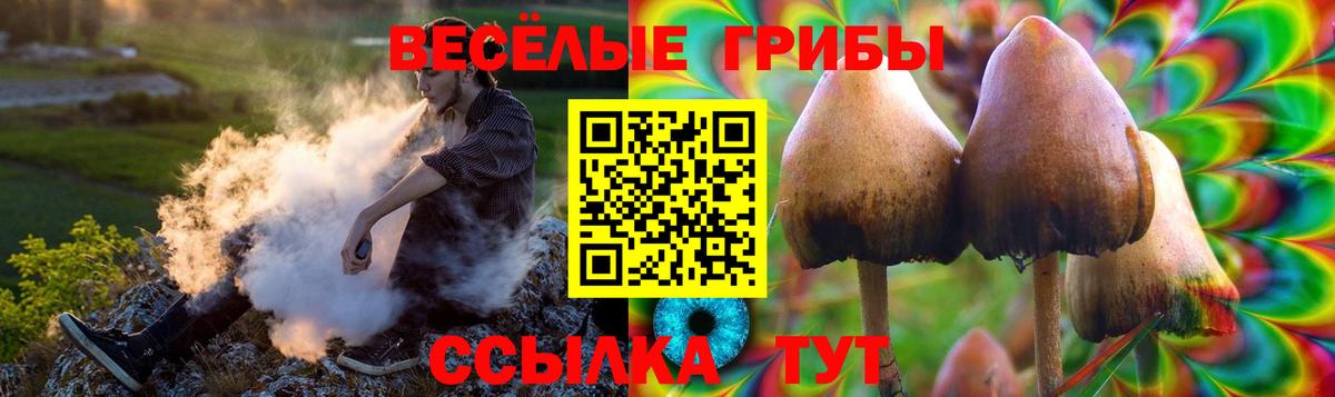 Псилоцибиновые грибы мухоморы  Вход с VPN  Майский  где найти   Галлюциногенные грибы ЛСД 